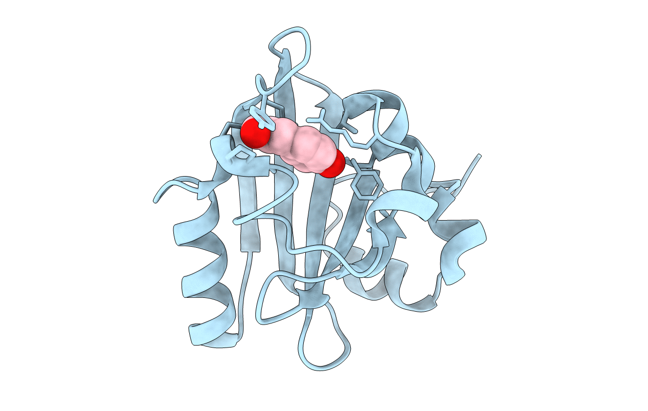 1T1C image