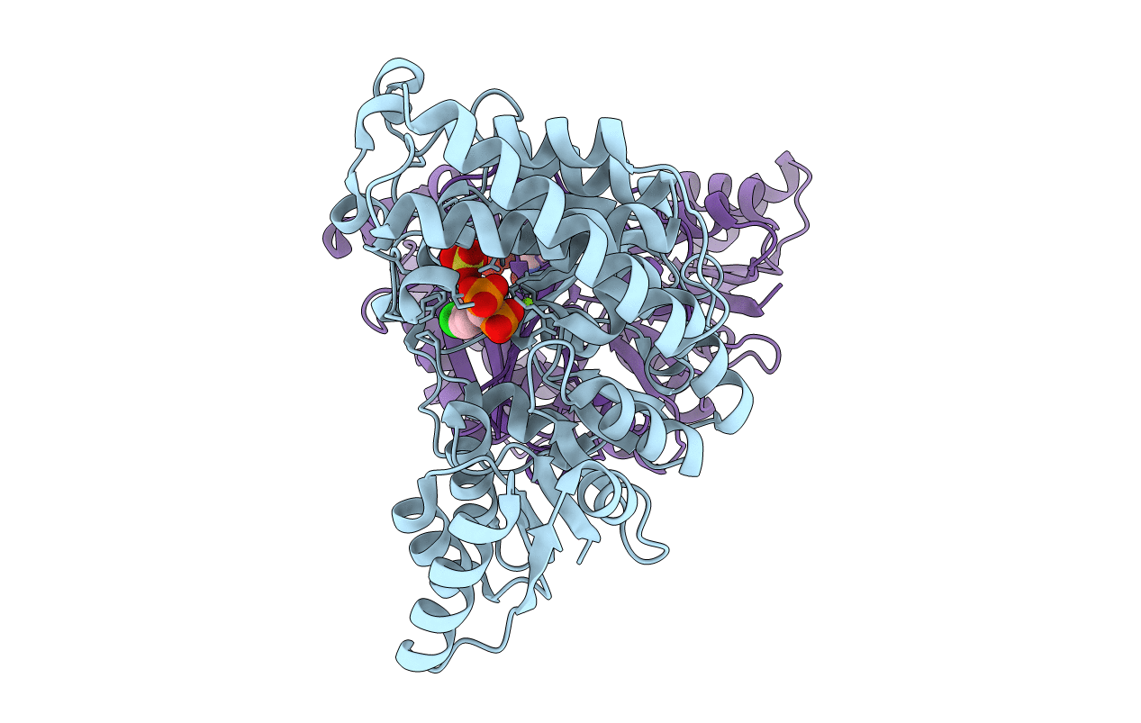 1T1S image