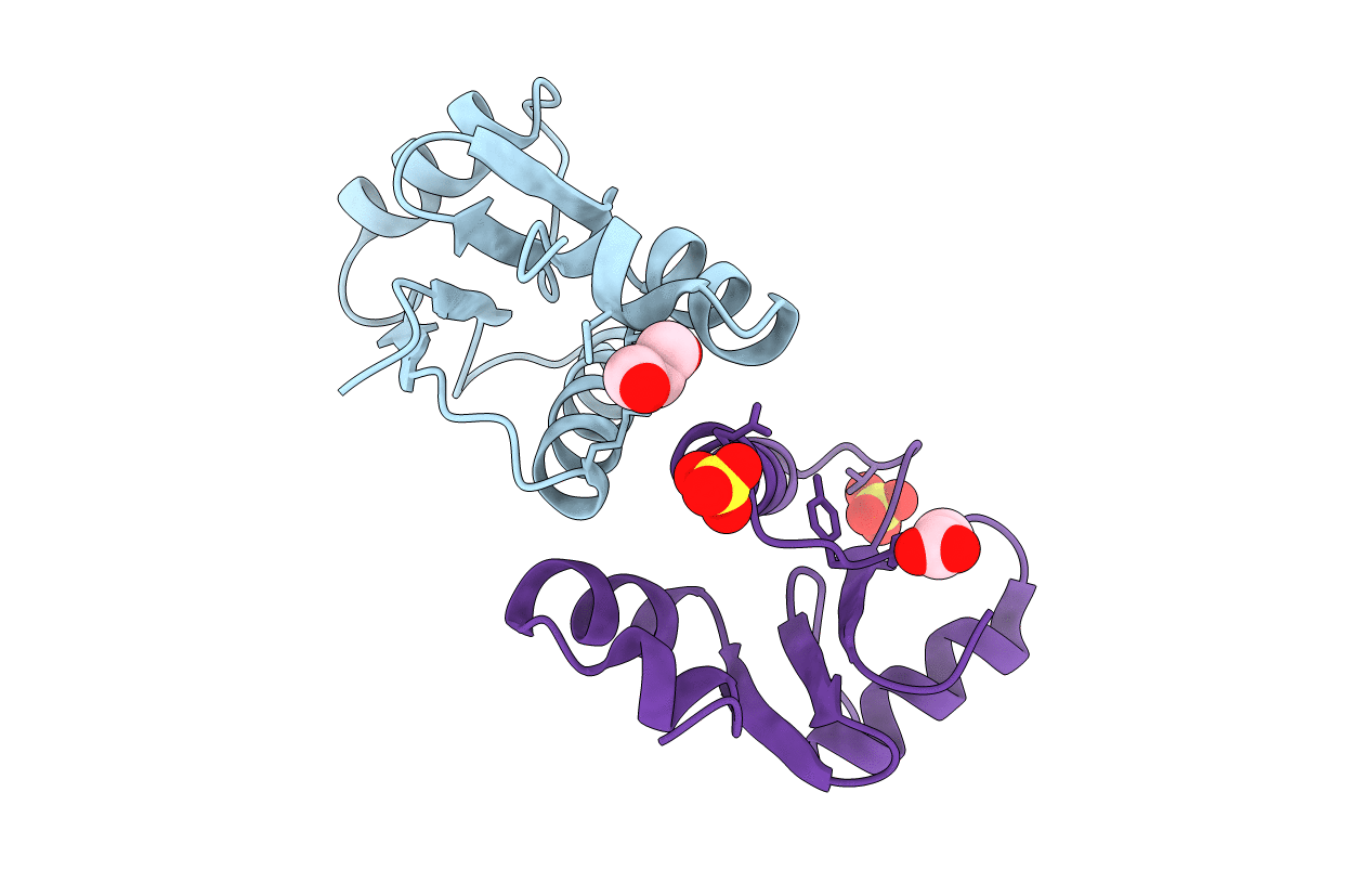 1T1V image