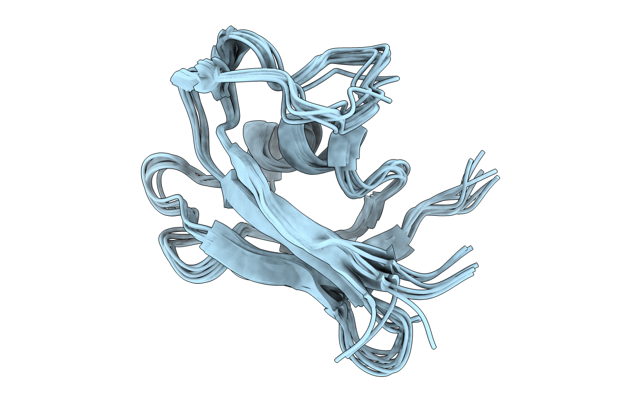 1T23 image