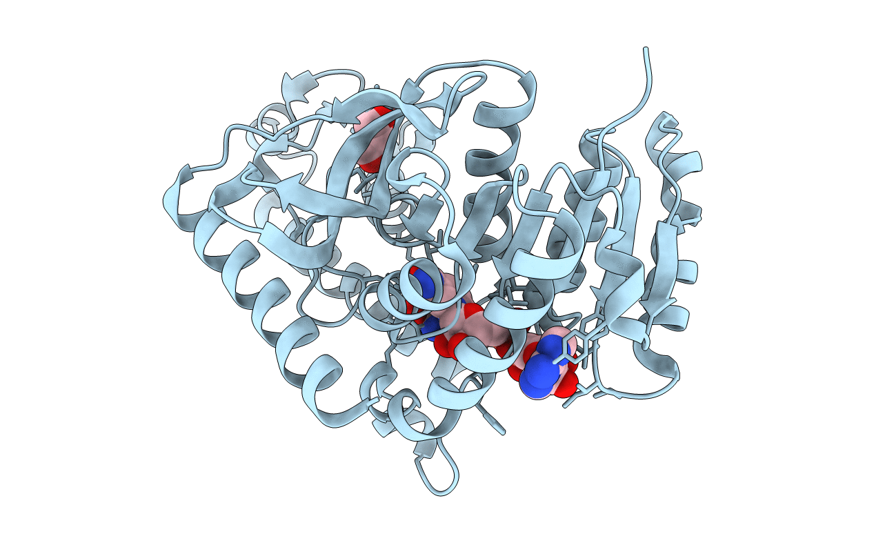 1T25 image