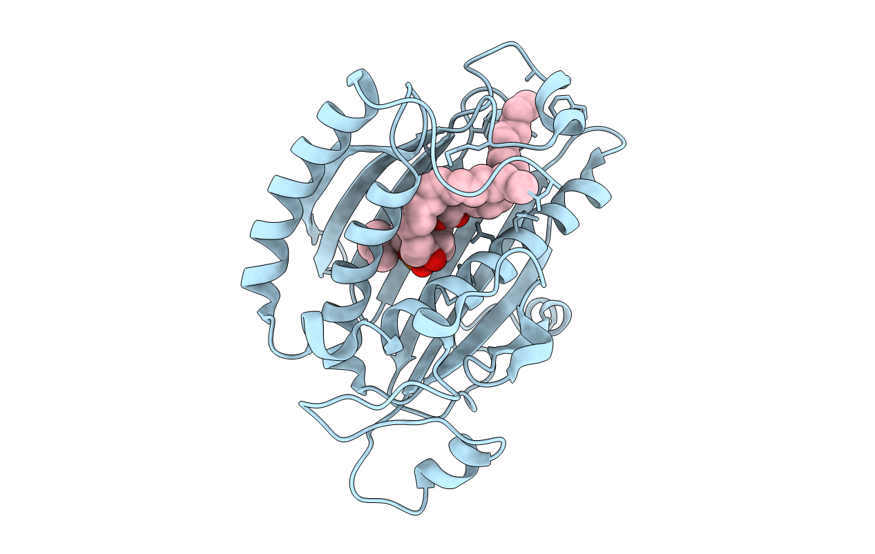 1T27 image