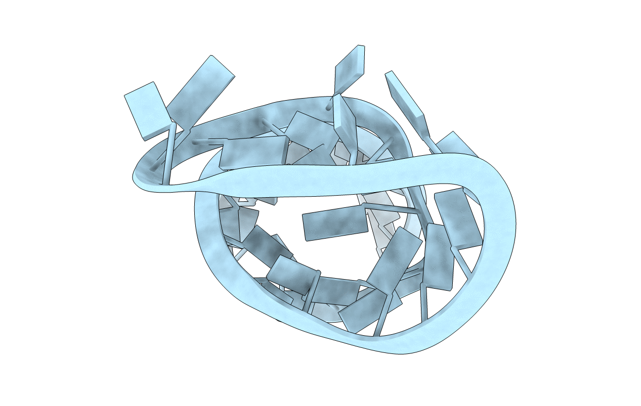 1T28 image