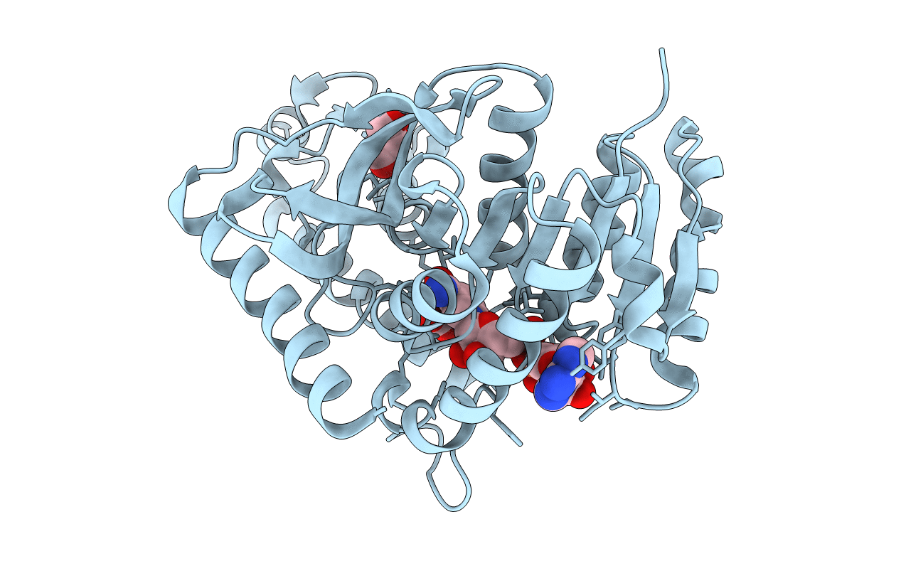 1T2D image