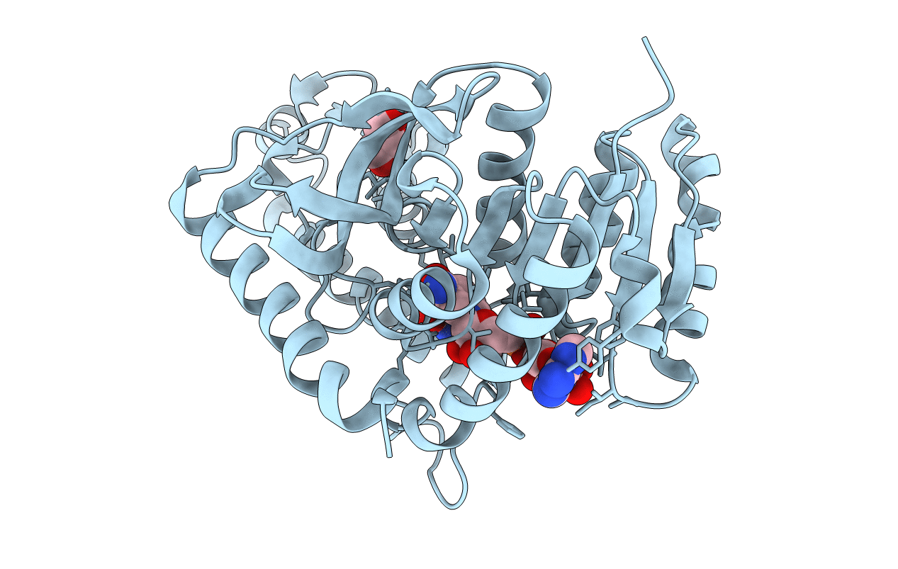 1T2E image