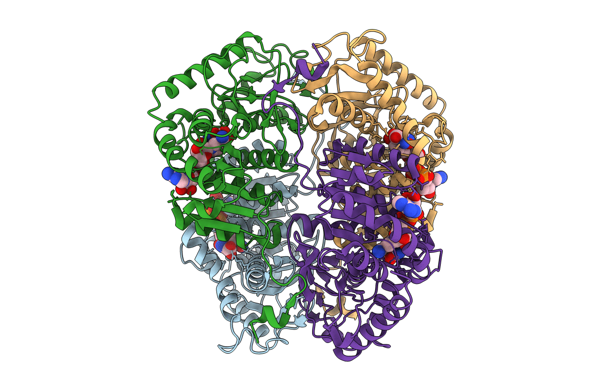 1T2F image