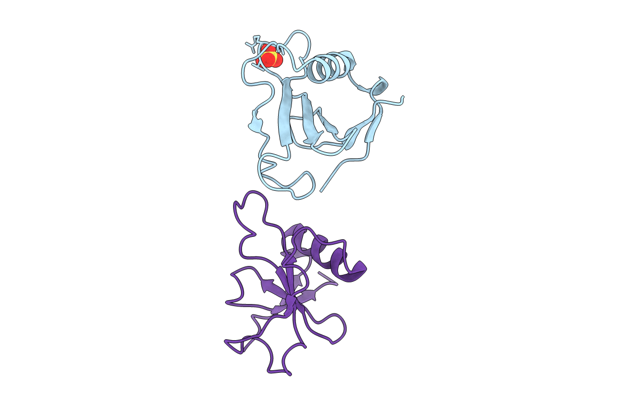 1T2H image
