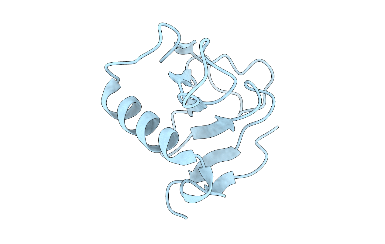 1T2I image