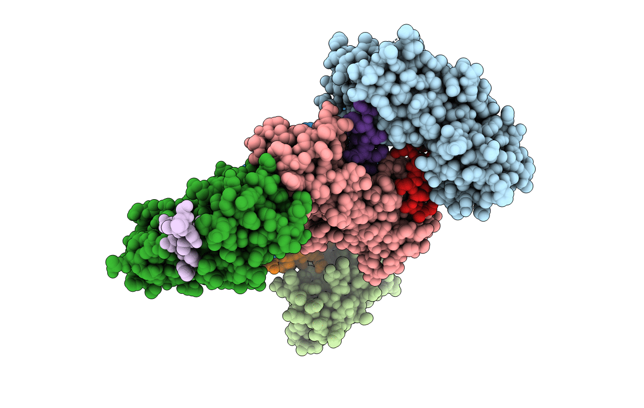 1T2V image