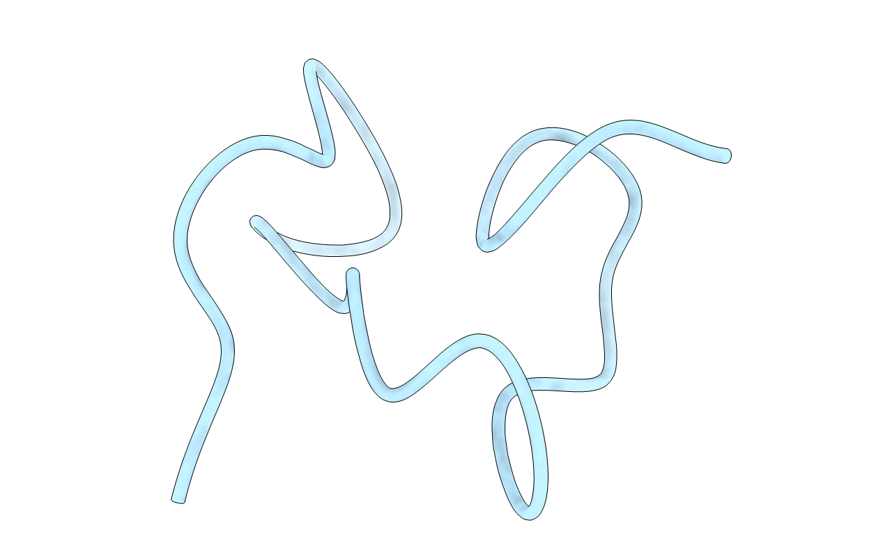 1T2Y image