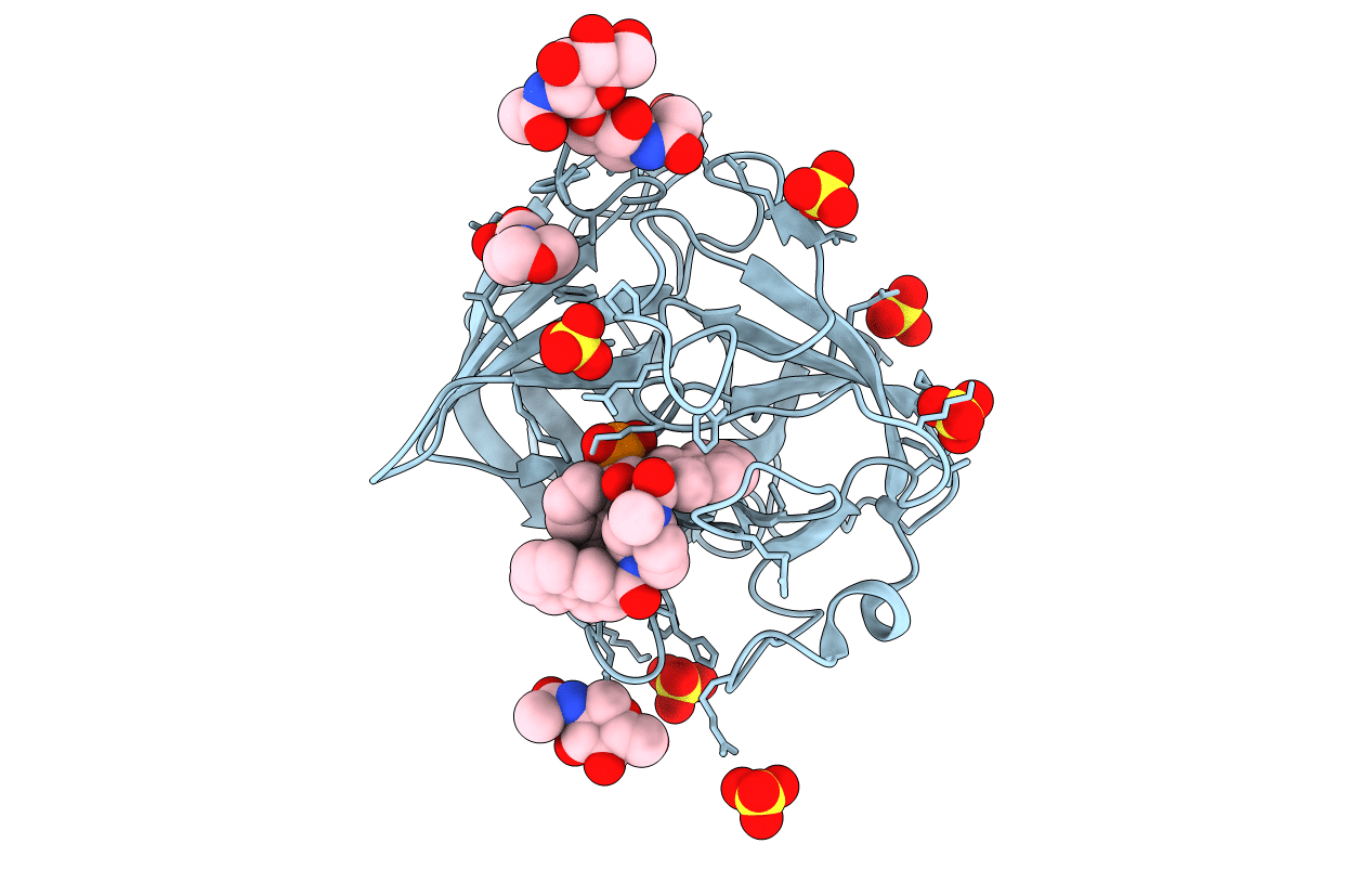 1T31 image