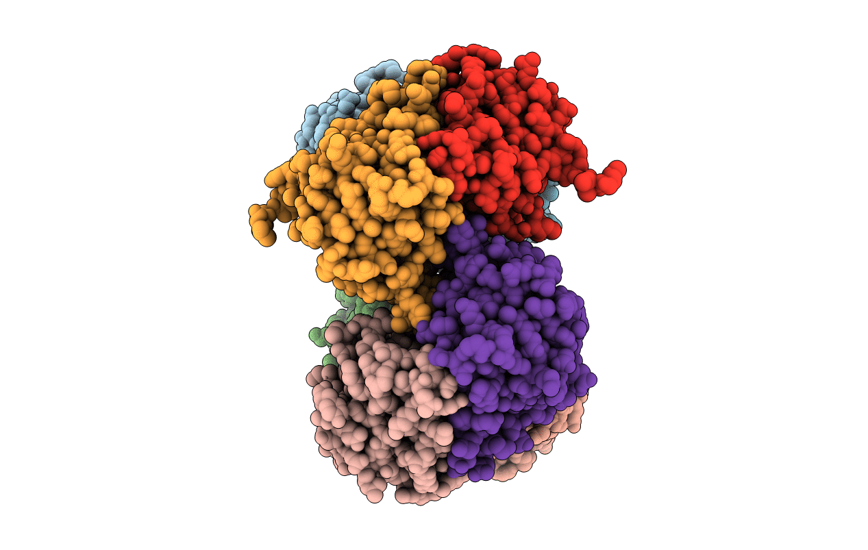 1T35 image