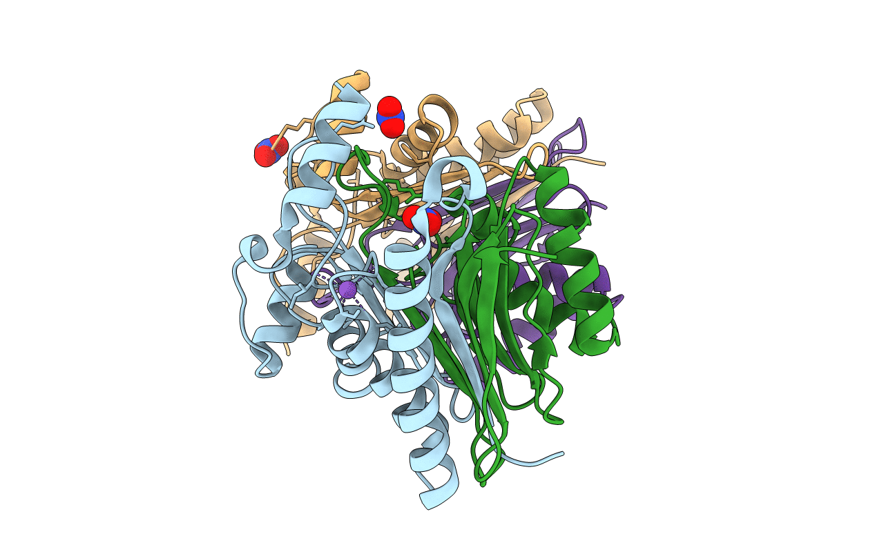 1T3M image
