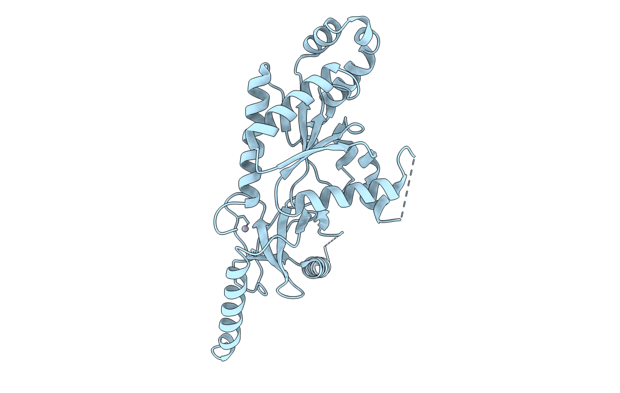 1t3s image