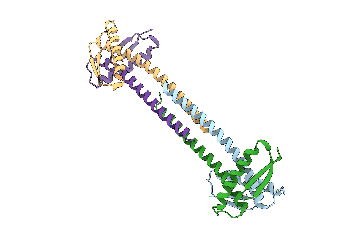 1T3U image