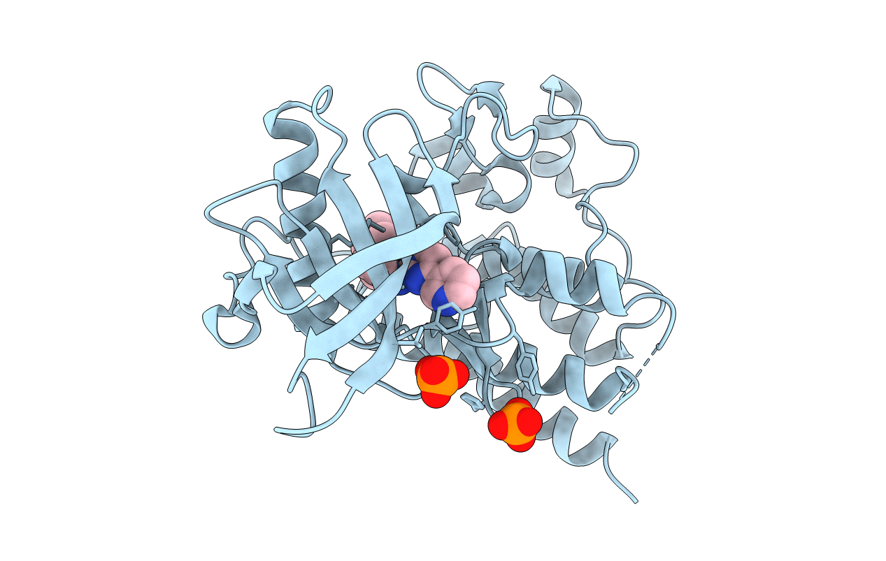 1T46 image