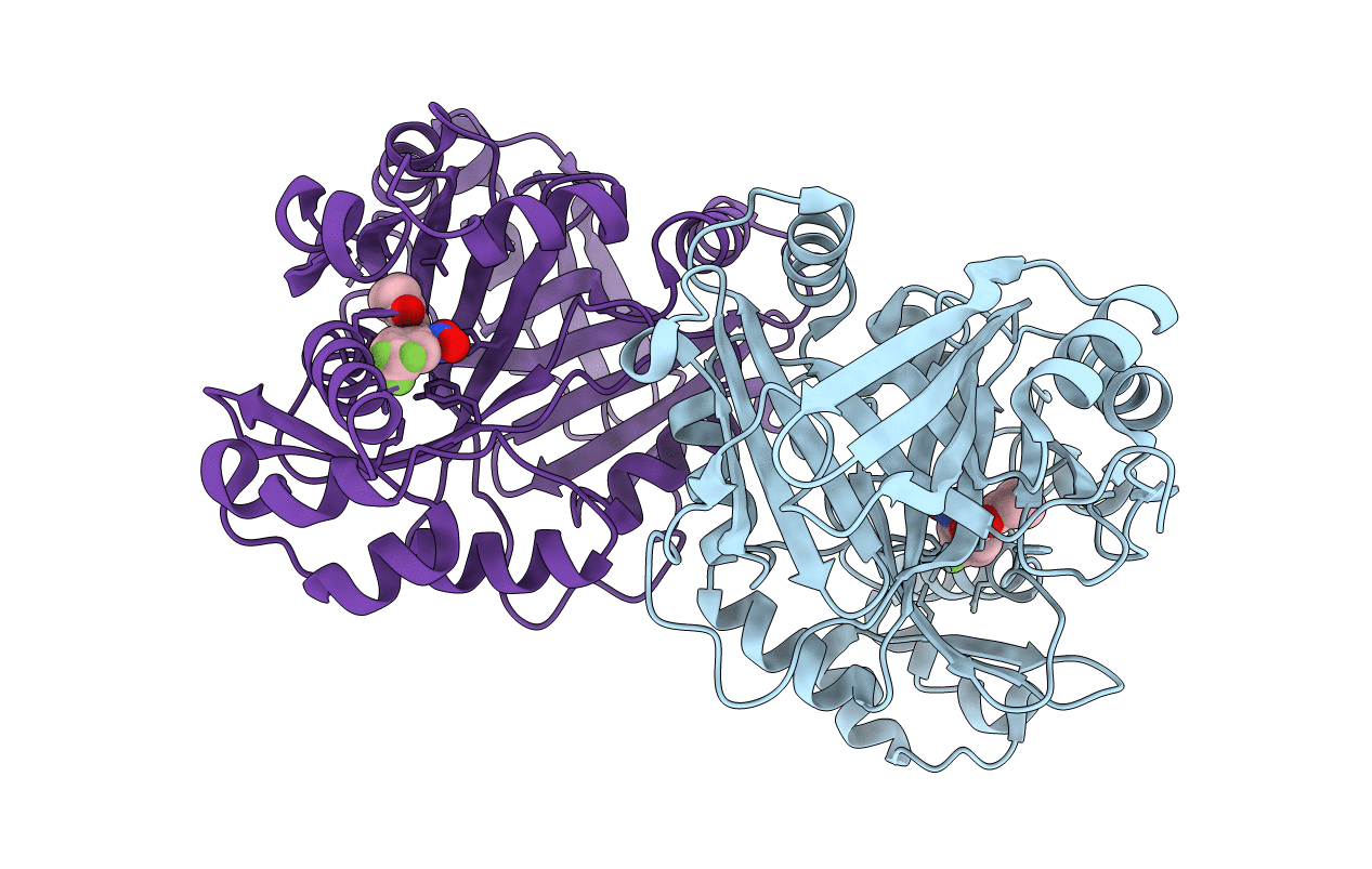 1T47 image
