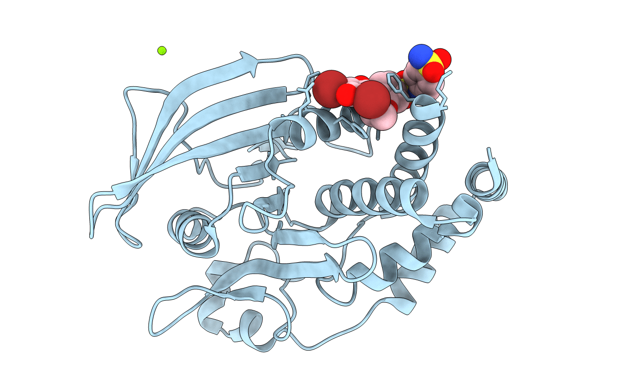 1T49 image