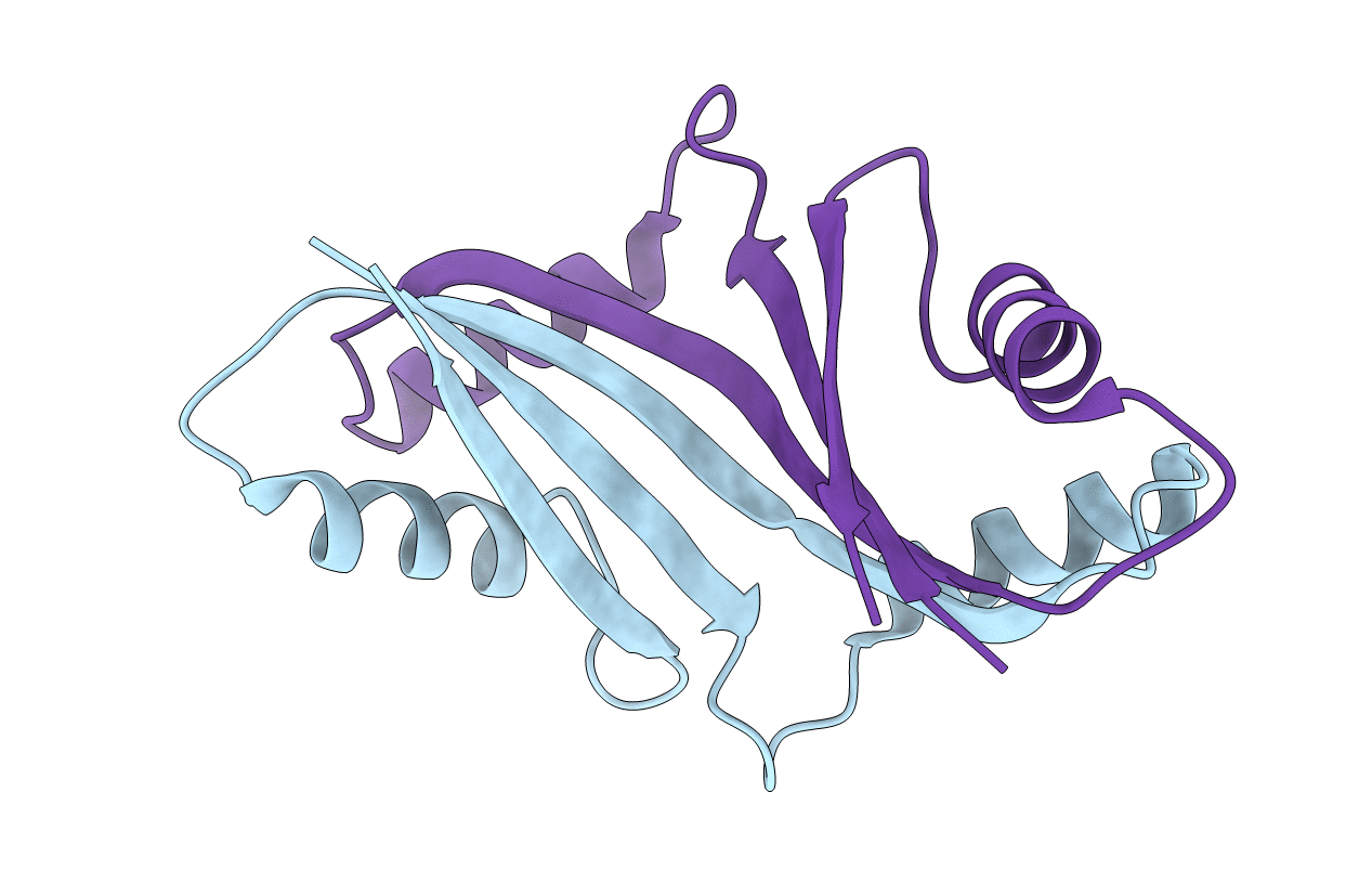 1T4A image