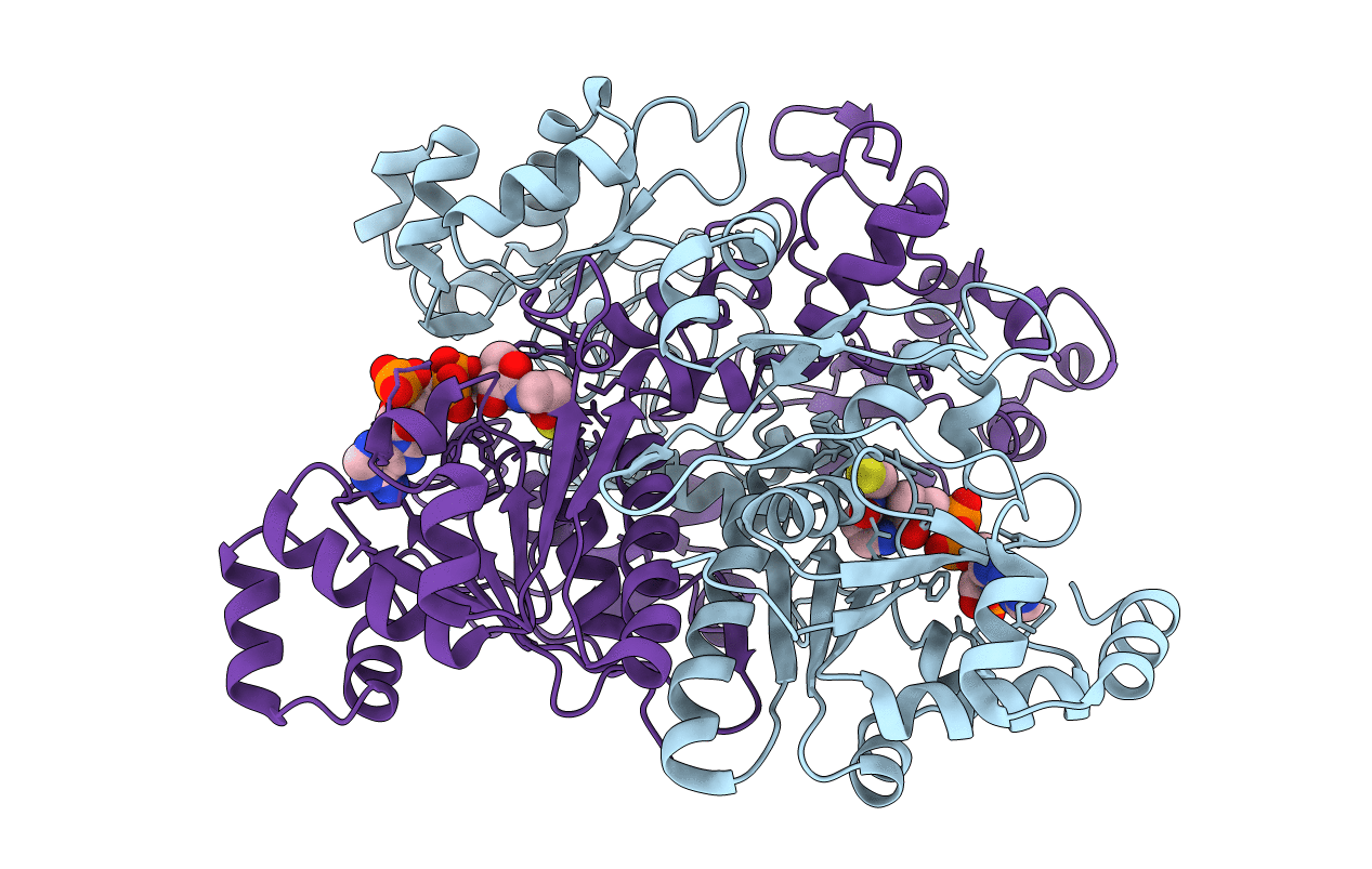 1T4C image