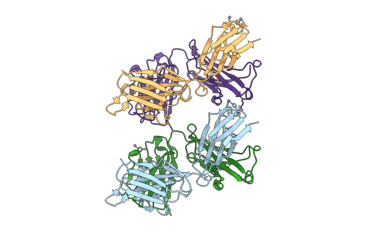1T4K image