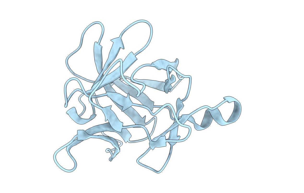 1T4Q image