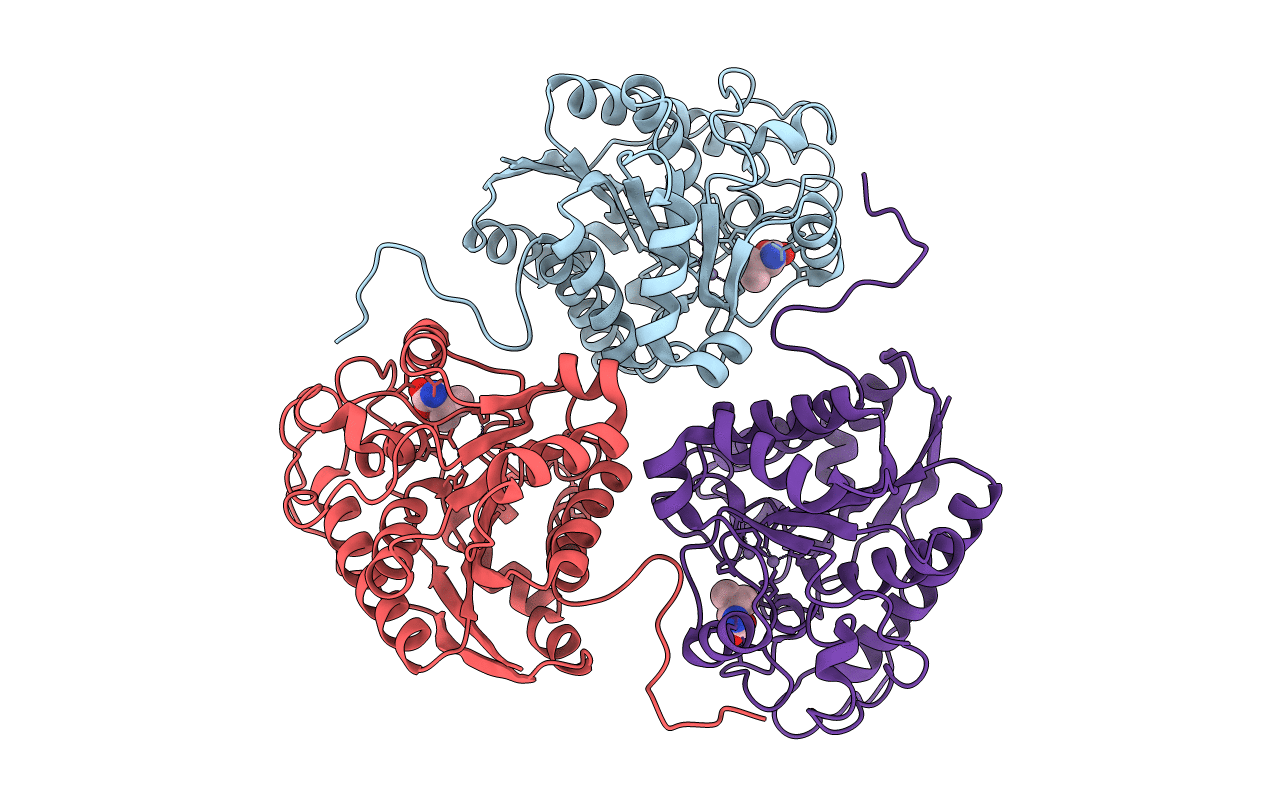 1T4S image