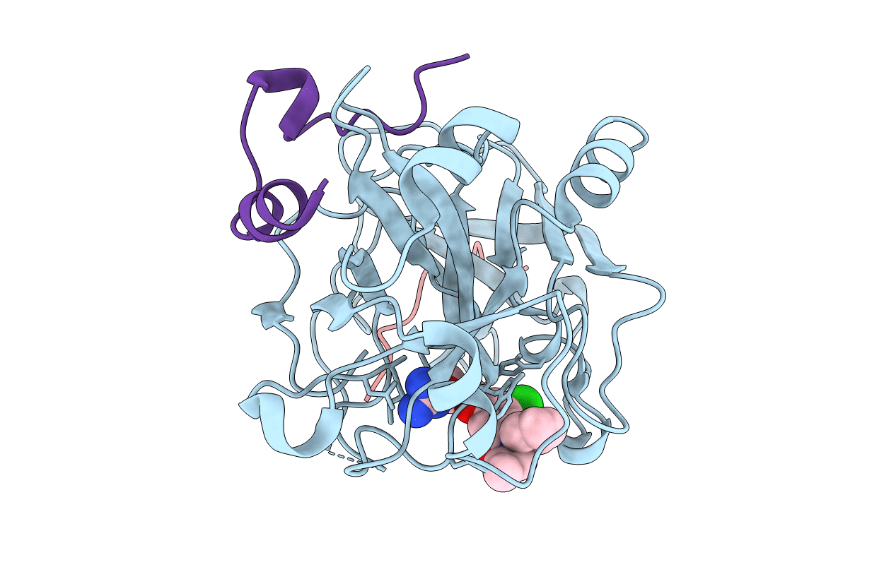 1T4V image