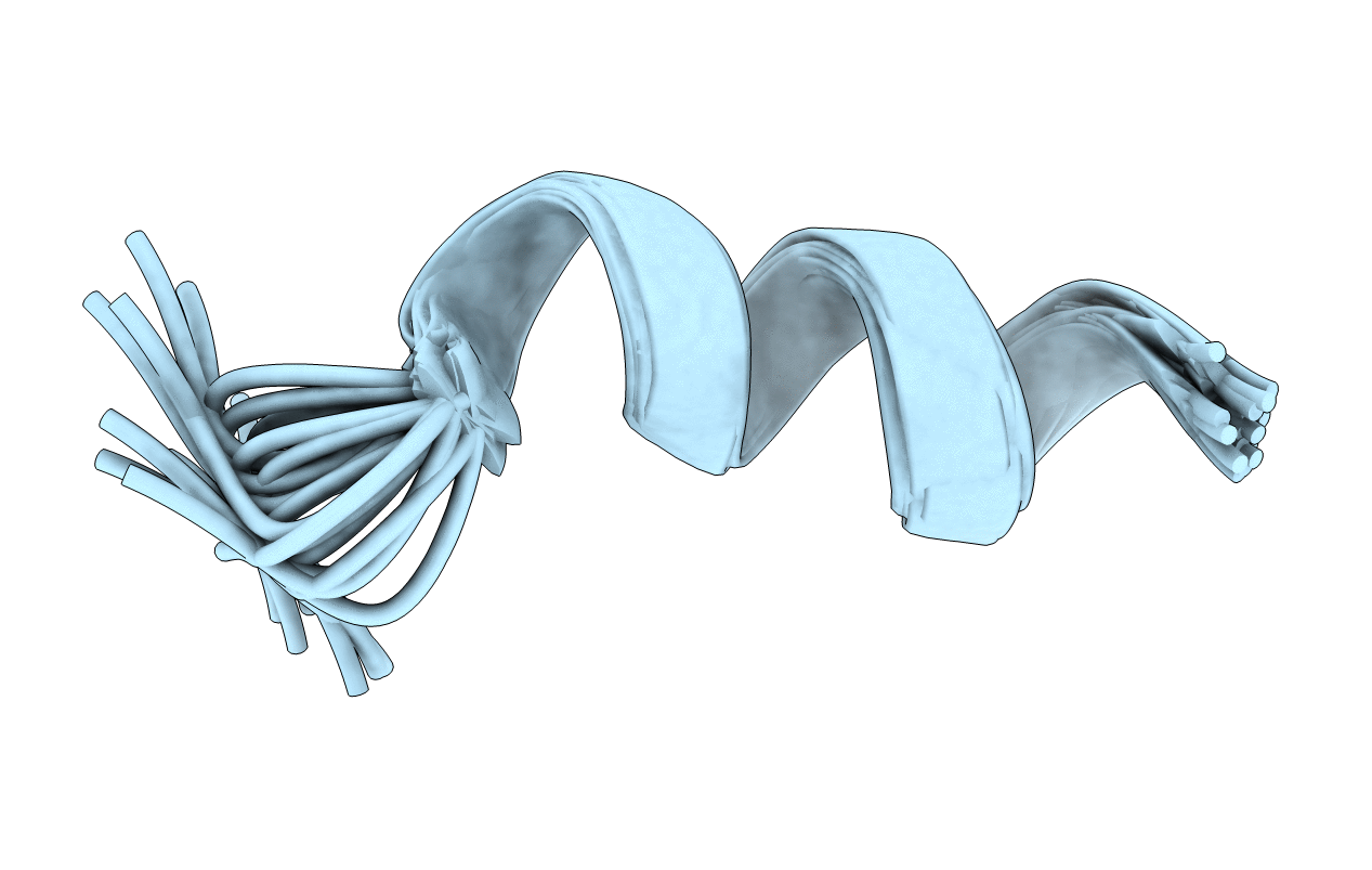 1T51 image