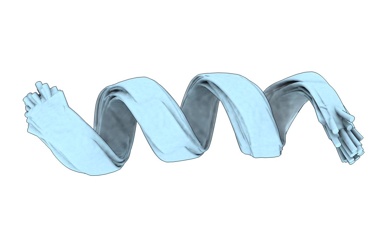 1T52 image