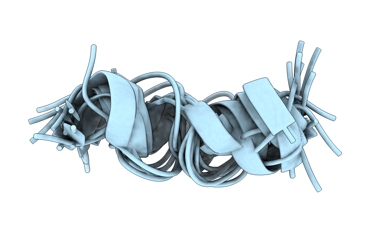 1T55 image