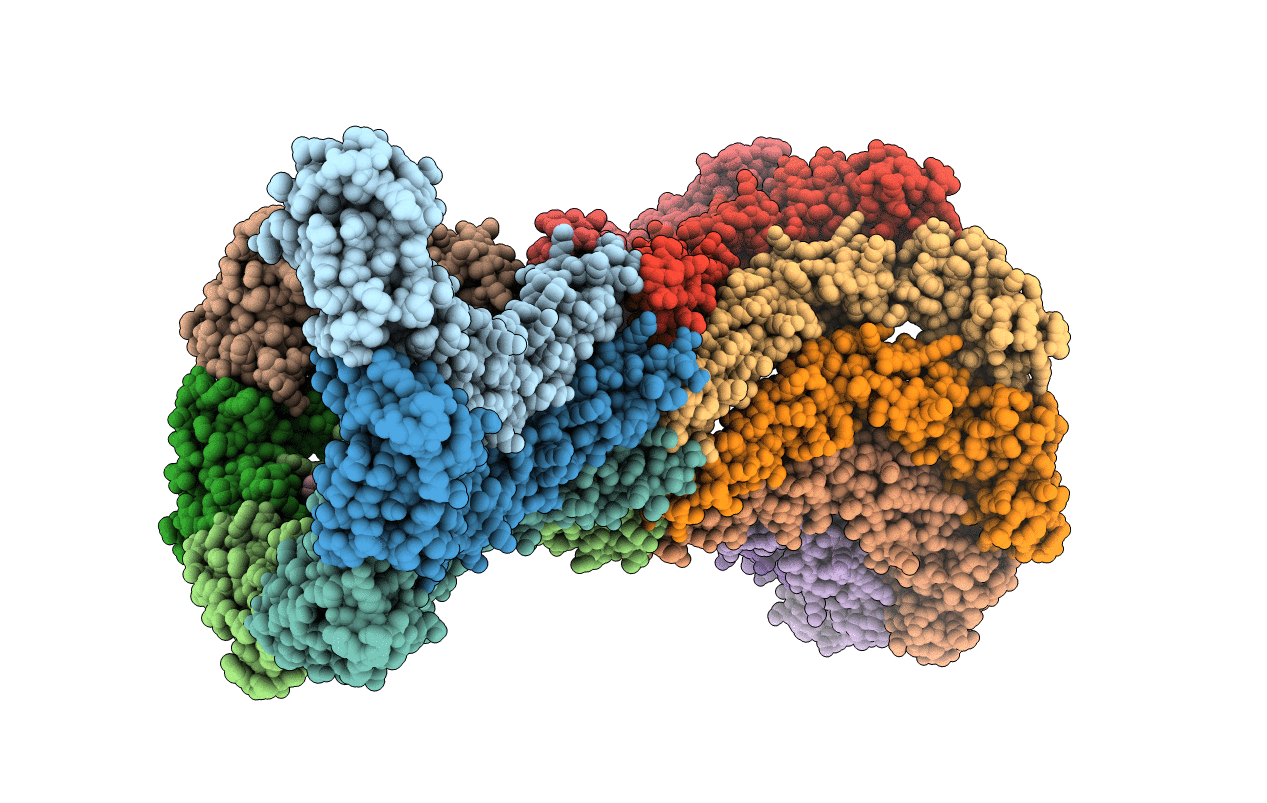 1T5E image