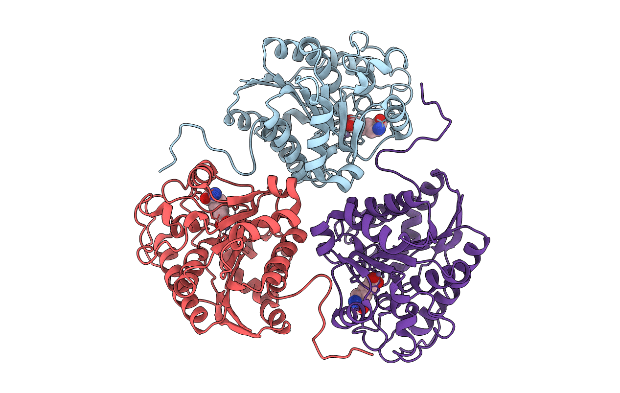 1T5F image