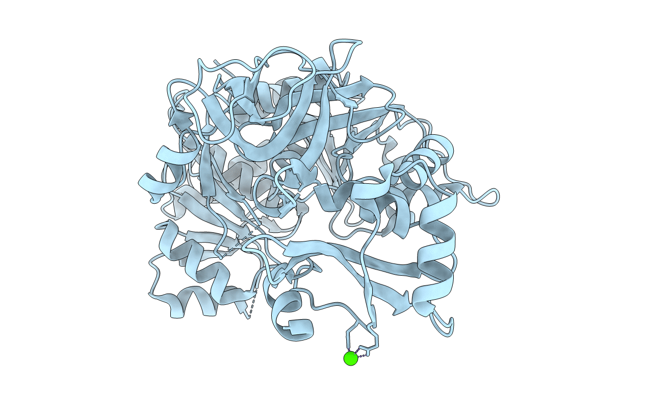 1T5H image
