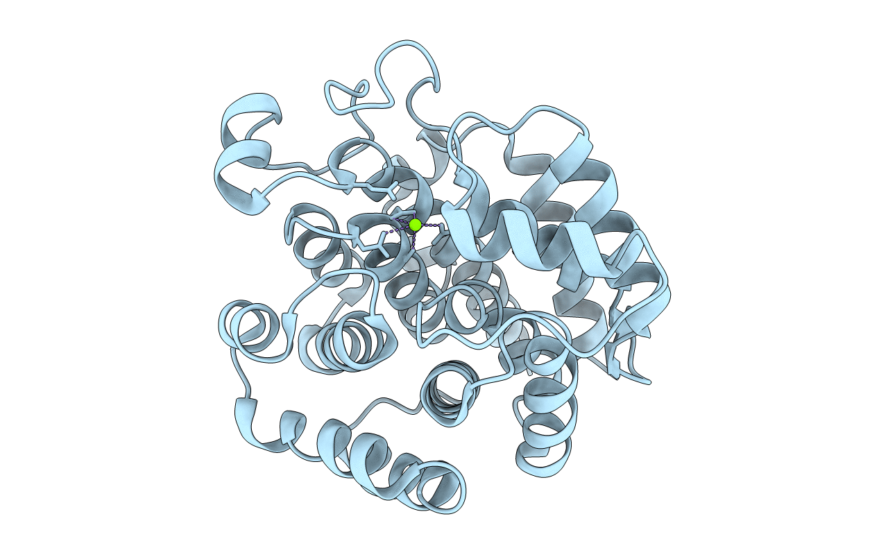 1T5J image