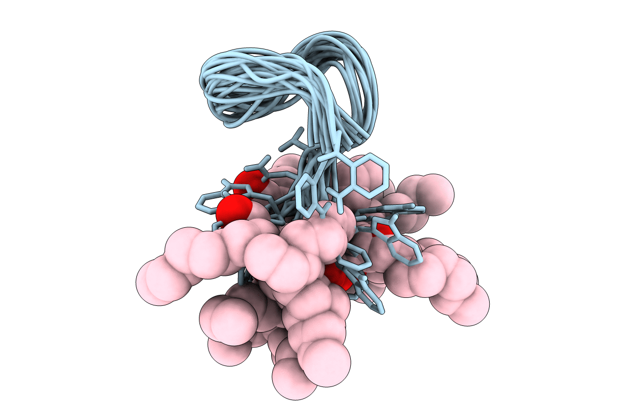 1T5N image