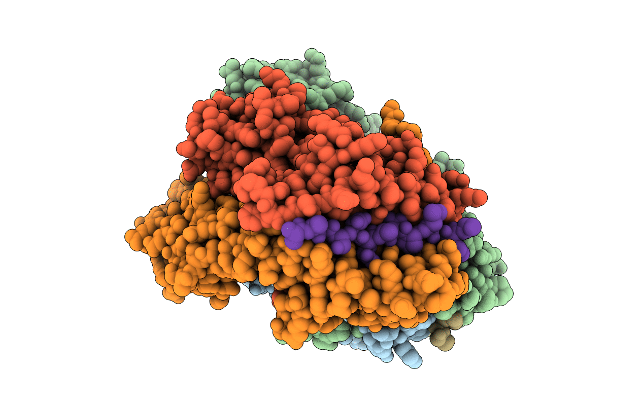 1T5W image