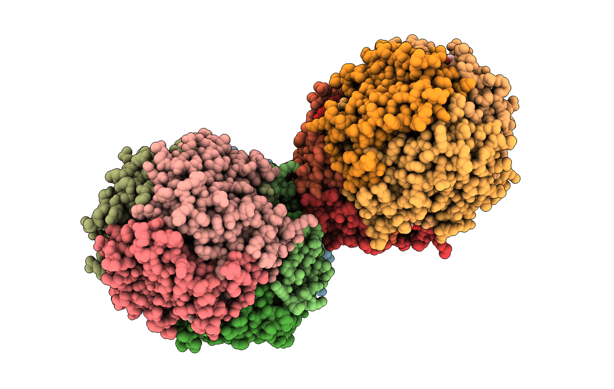 1T60 image