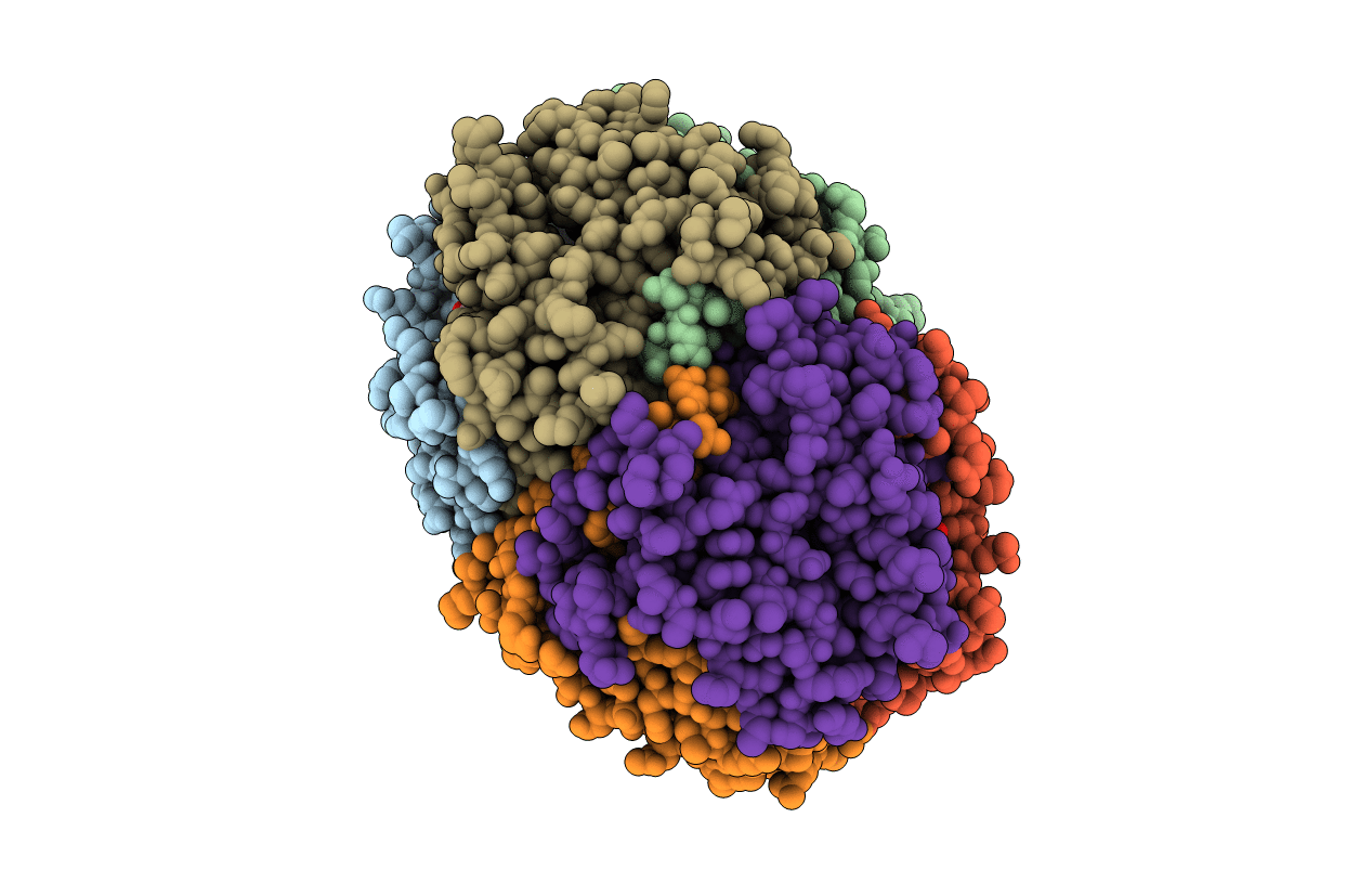 1T61 image