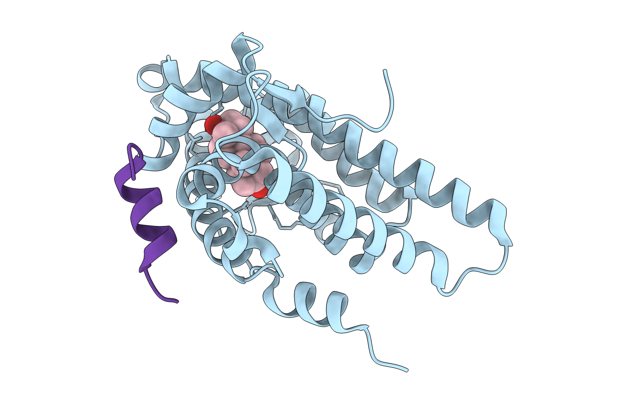 1T63 image