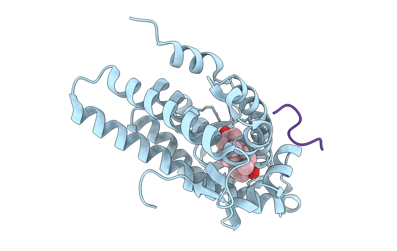 1T65 image