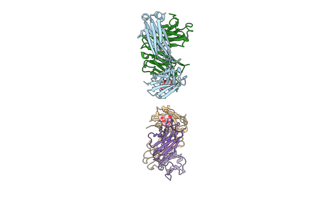 1T66 image