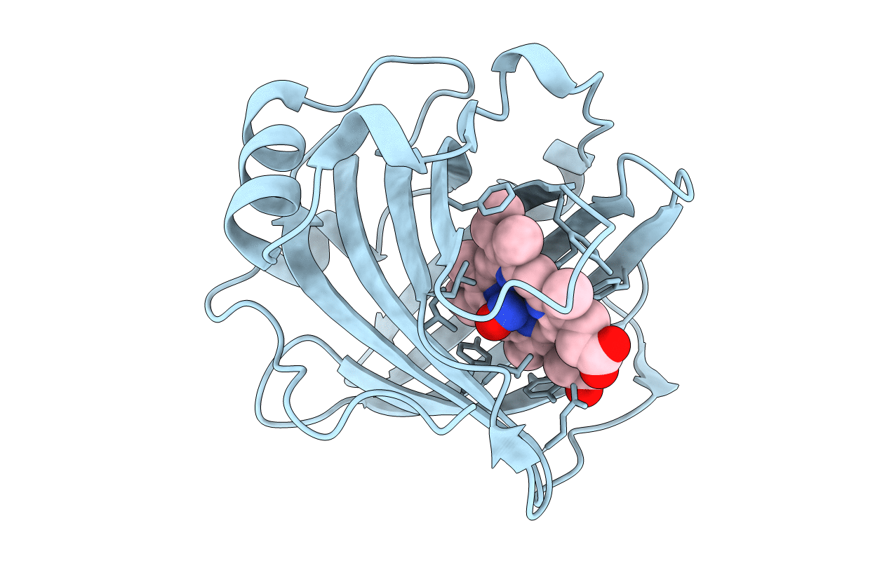 1T68 image