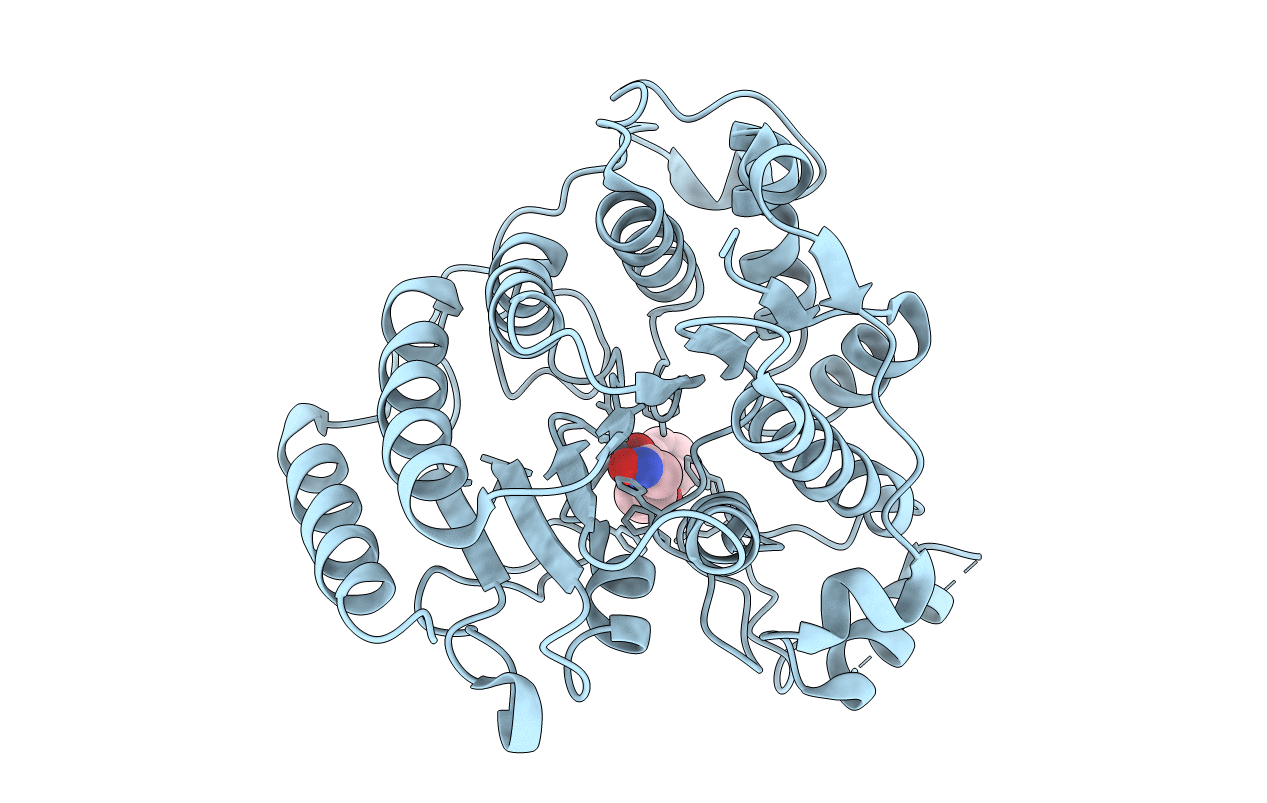 1T69 image