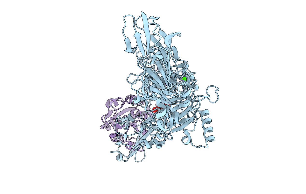 1T6B image