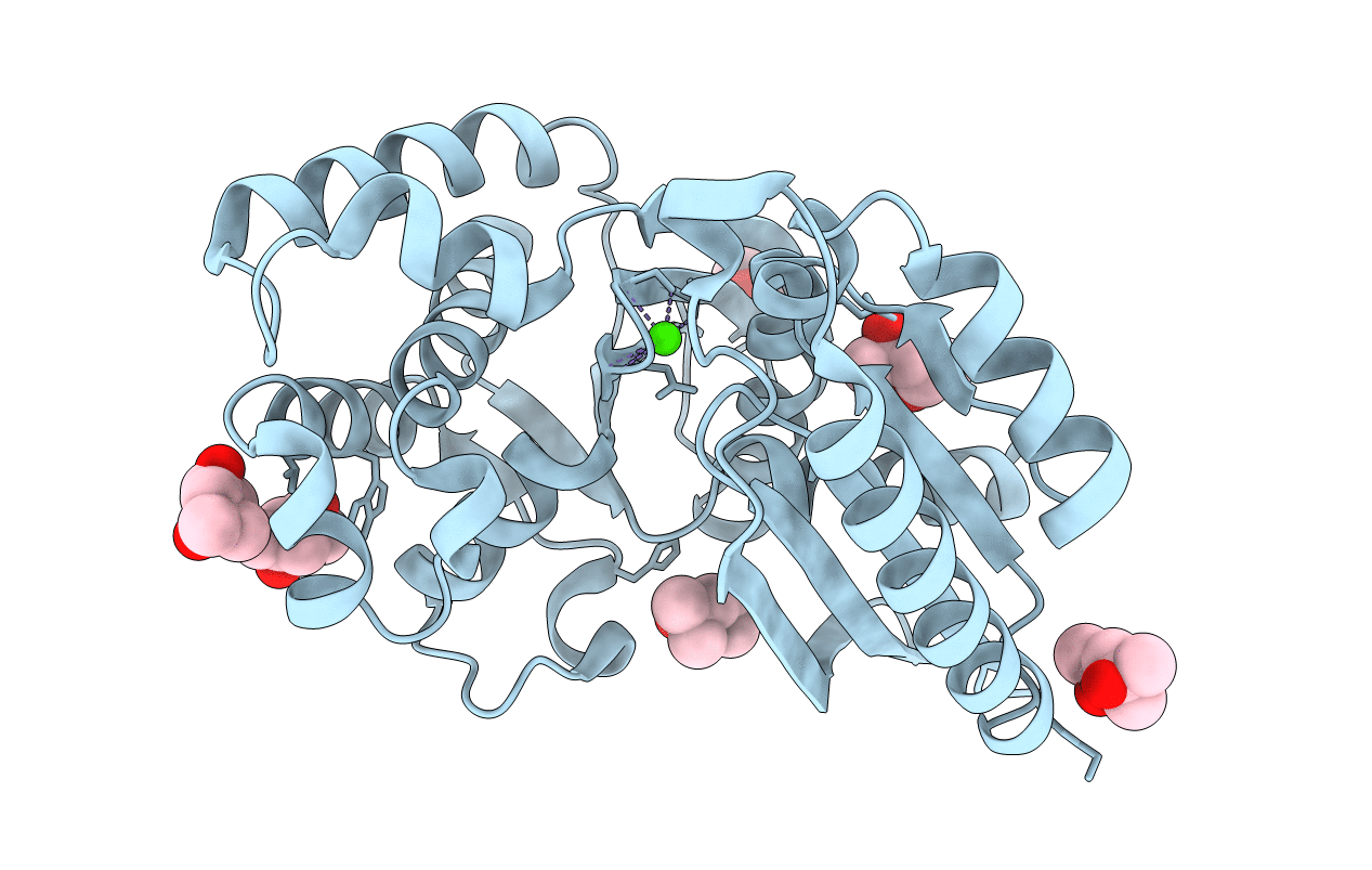 1T6C image