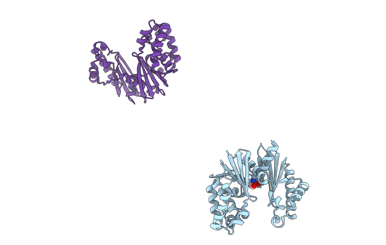 1T6D image