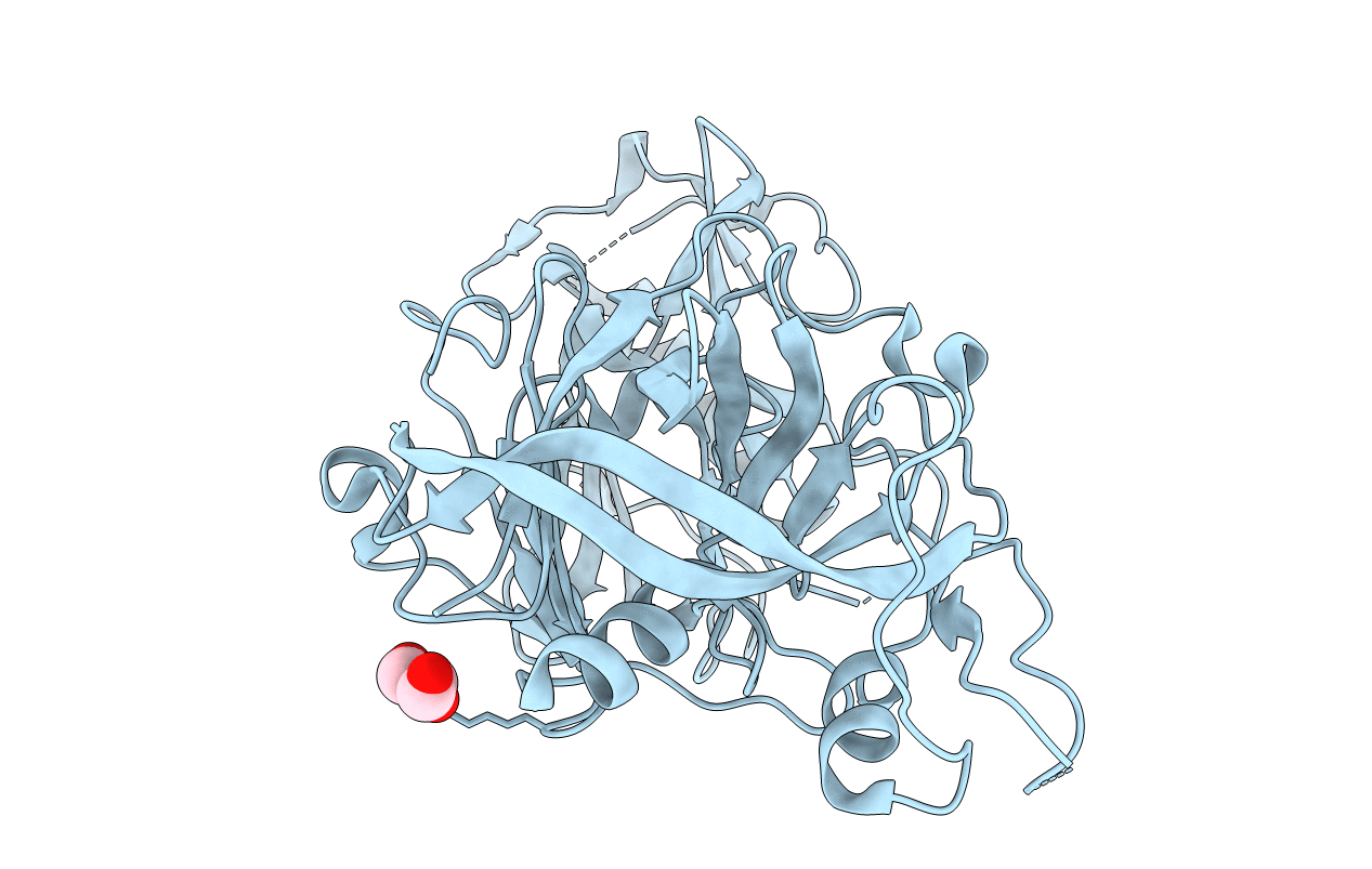 1T6E image