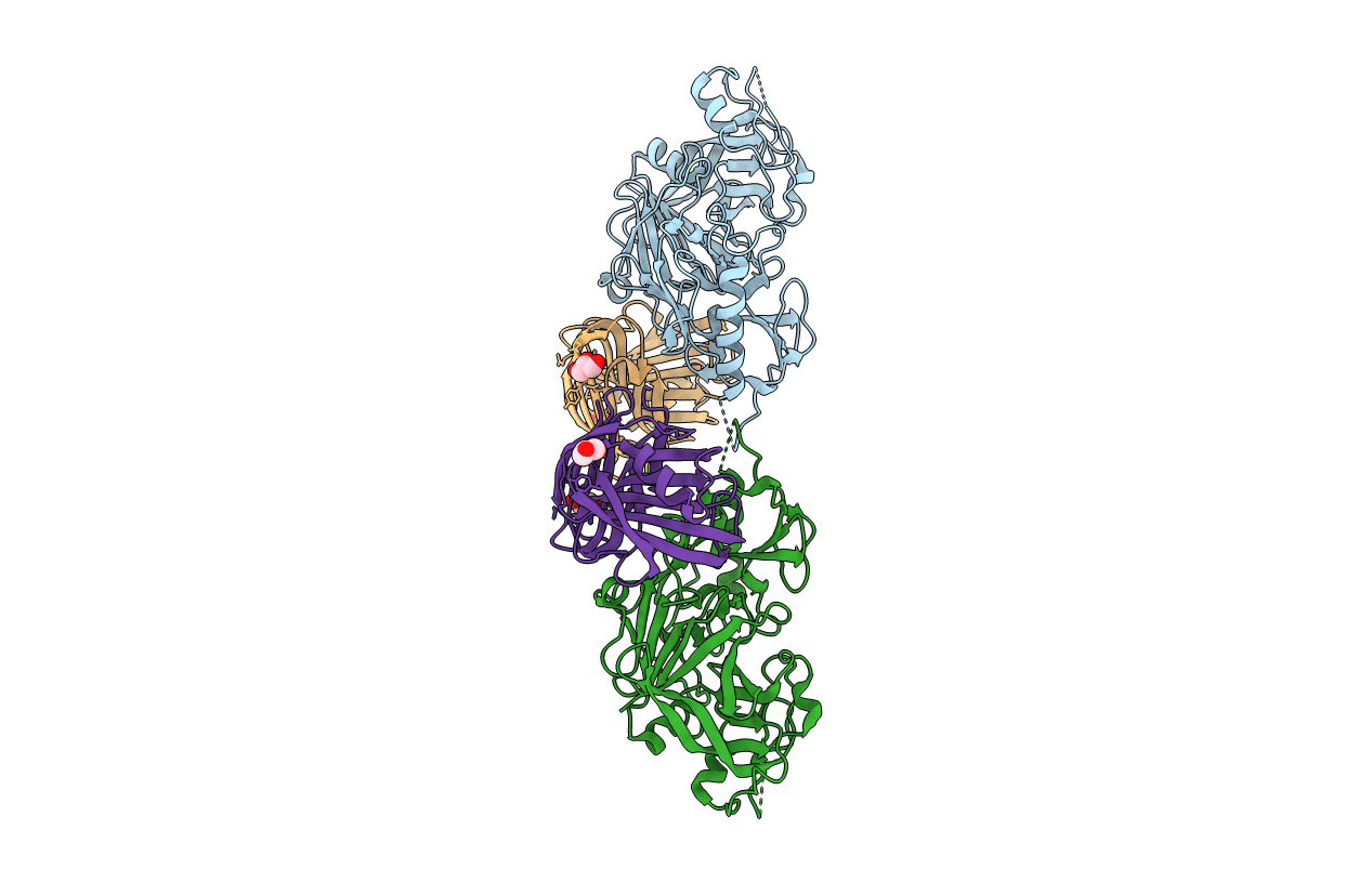 1T6G image