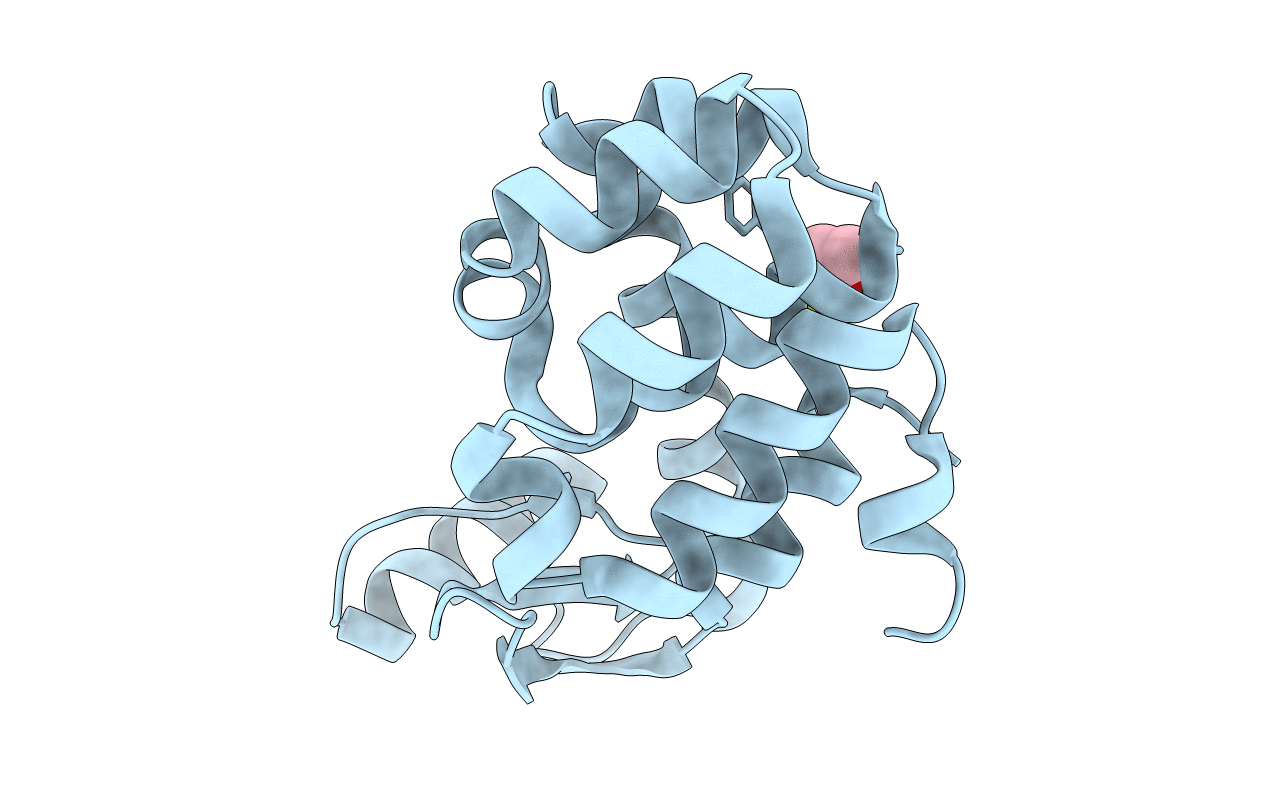 1T6H image